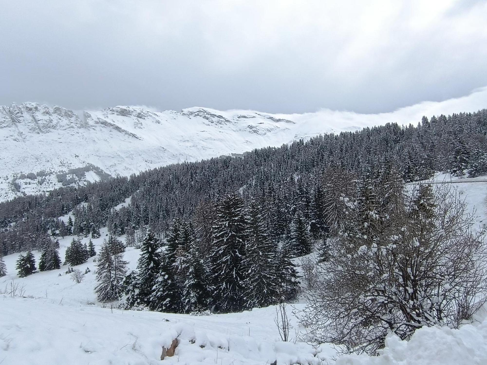 Appartement Cosy Dans Chalet Vue Montagne Saint-Étienne-en-Dévoluy エクステリア 写真